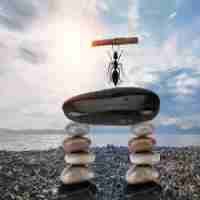 免‍费​网‍站​排‌名﻿插​件‍下﻿载​